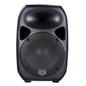 1000w passive speakers