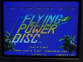 Flying Power Disc (Windjammers) SNK Neo Geo AES Cartridge Original From Japan