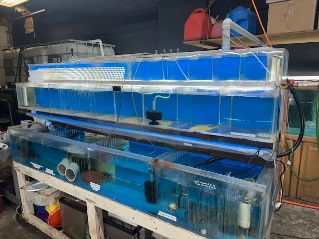 345 GALLONS ACRYLIC FISH TANK, BREEDING FISH OR RETAIL HOLDING TANK 3 LEVELS  - Image 2 of 4