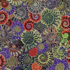 Free Spirit - Kaffe Fassett Collective August 2024 - Ammonites - Dark, BTY