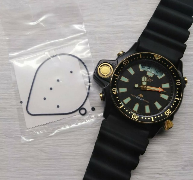 citizen aqualand dive watch