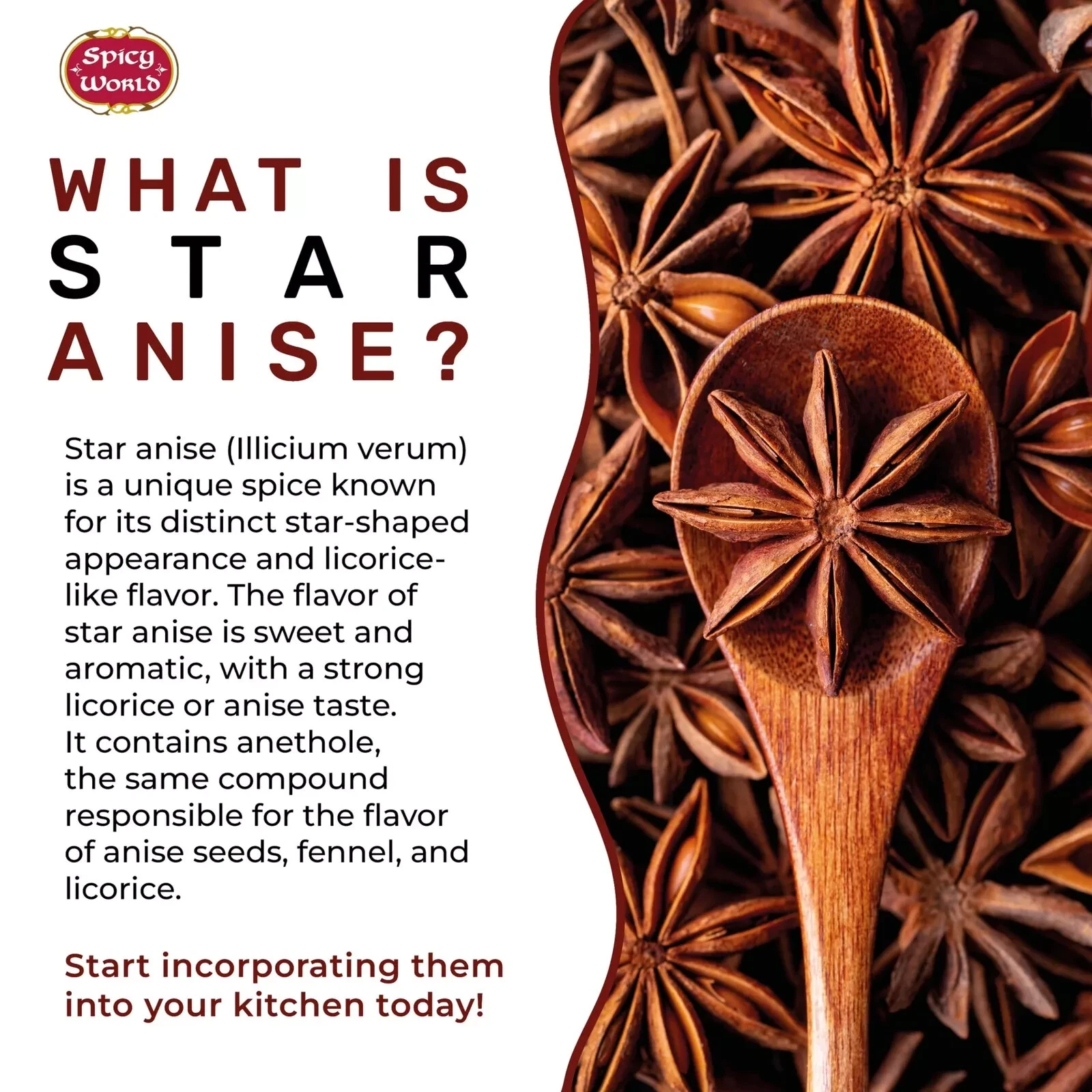 Spicy World Star Anise Whole Pods 6 Oz Bag -Premium Quality Vegan All Natural... - Picture 2 of 3