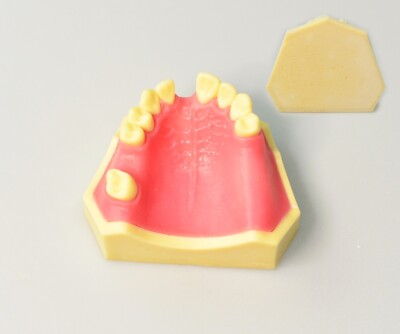 Dentistry Education Dental Maxillary Missing Implanting Practice Upper Jaw Model