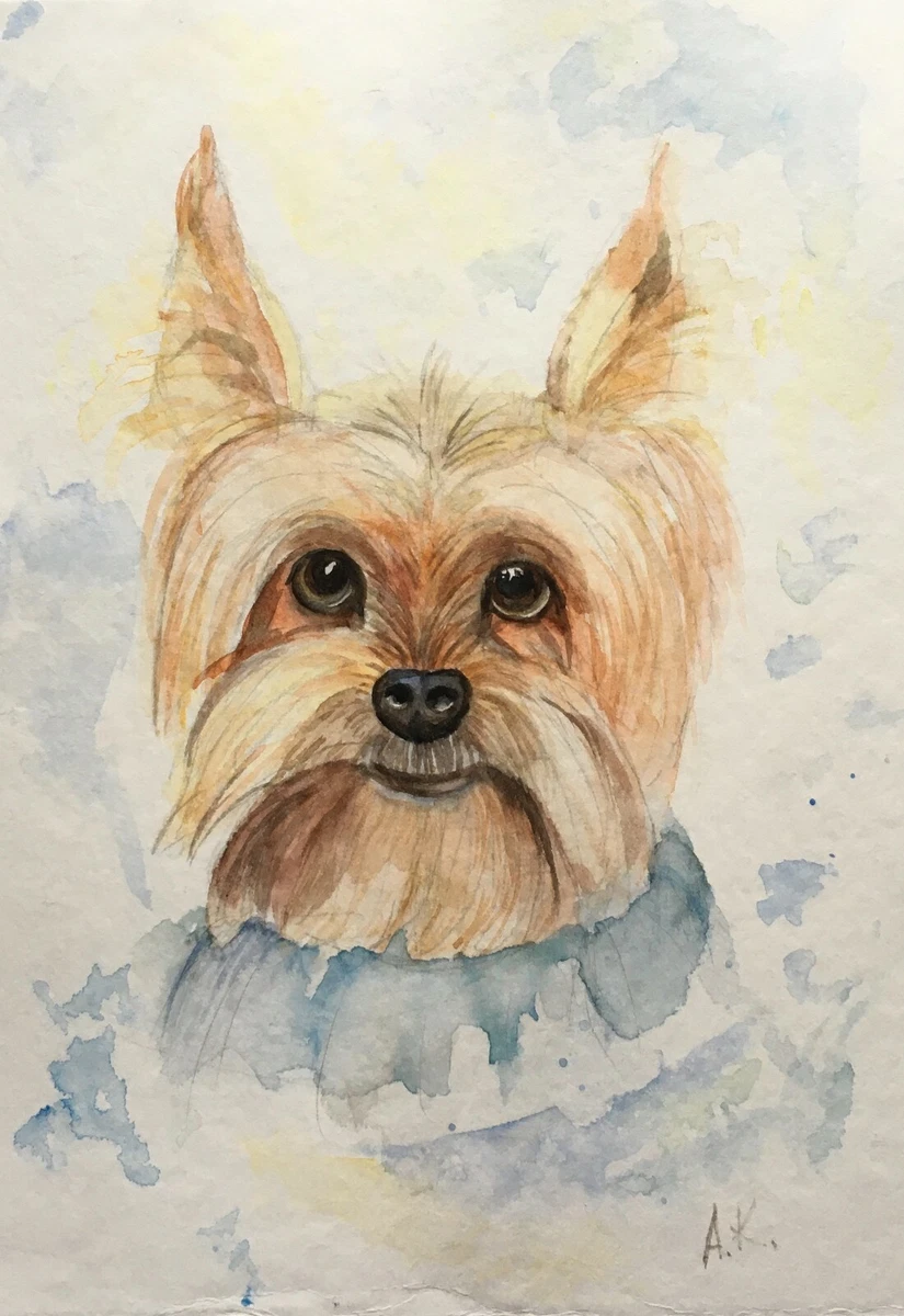 How Much Does A Yorkie Cost Without Papers