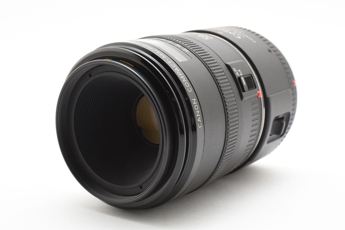 Canon EF 50mm F2.5 Compact Macro Lens w/ Life Size Converter