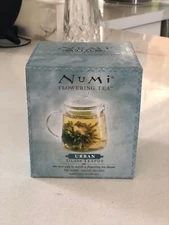 NUMI Urban Glass Teapot - Brand New