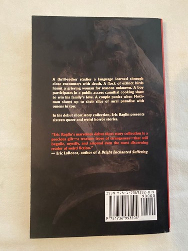 Nightmare Yearnings PB Eric Raglin Nebraska horror gay interest - Imagen 2 de 2
