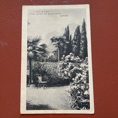 .AND AS THE WIND THE ODO STORMIR.. LEOPARDS OLD POSTCARD WRITTEN MODA 1937