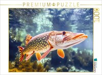 Puzzle Calvendo Une Beauté Silencieuse | 1000 PièCes, Format Assemblé 64 × 48 Cm