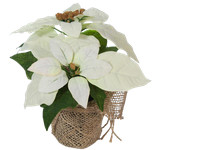 KüNstlicher Weihnachtsstern Christstern Poinsettie Kunstblume Dekopflanze Weiß
