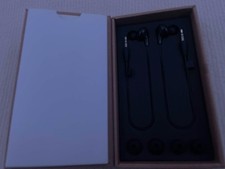 Meta Quest Pro Official Earbuds - TESTED