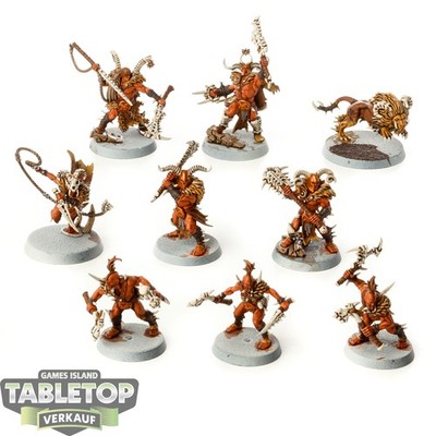Age of Sigmar: Warcry - 9x Untamed Beasts - bemalt