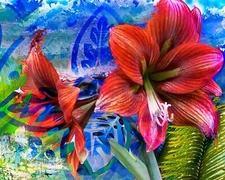 Tropical Red Amaryllis Flowers Printable Download for Art Prints, Cards, Gifts