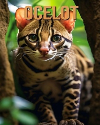 Ocelot: Learn About Ocelot and Enjoy Amazing Facts & Pictures by Tristan Fairwoo