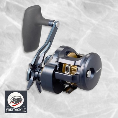 Daiwa 25 SALTIGA 300H Baitcasting Reel Ship from Japan