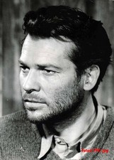 Der Arzt von Stalingrad - Wahther Reyer - 2 Pressefotos - 13x18cm (3769)