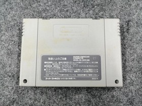 Prince of Persia Boxed Nintendo Super Famicom SFC Software from Japan Rank B