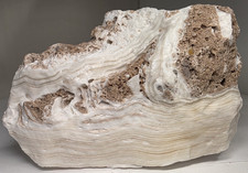 Lastra grezza stratificata calcite travertino onice messicana bianca naturale 3,73 libbre 6" #P