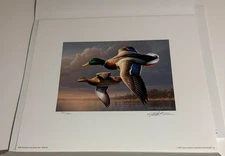 Jim Hartman  Duck  Print  Federal 1995- 96 Print &  Folder - No Stamp  Ship Flat