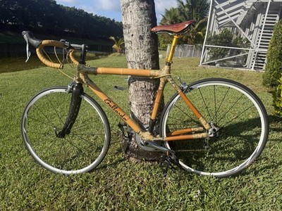 Bamboo Bicycle Men's Unique