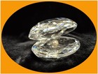 SWAROVSKI 014389 Muschel Perle 6,5 cm Kristall Bleikristall Figur TOP ohne OVP