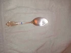 (1) 6.75"  Jelly Server Spoon VG