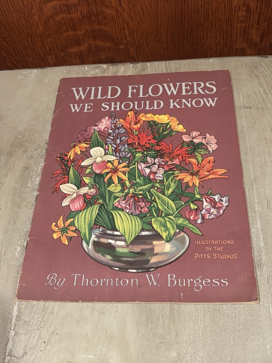 Wild Flowers We Should Know By THORNTON W BURGESS 1929 | eBay