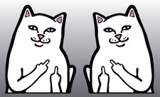 2x Cat middle finger stickers Funny graphics decals Car Window Bumper Laptop