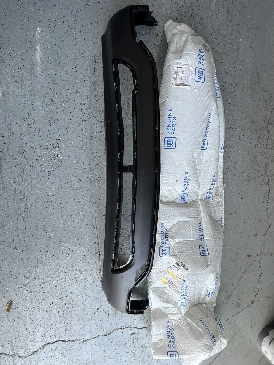 Genuine GM F Fascia 42646454 | eBay