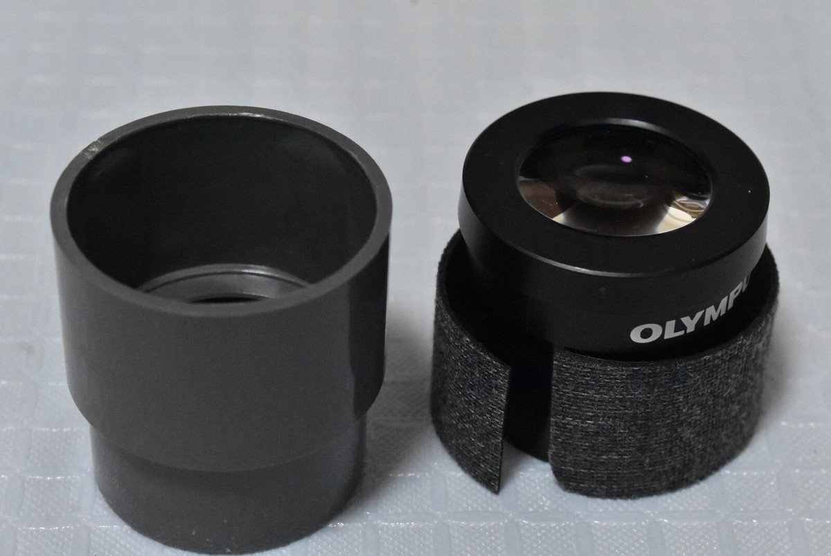 YOSOO oculaire à point oculaire élevé Oculaire de microscope WF15X