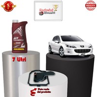 Set Filter Austausch Automatisch Und ÖL Peugeot 407 2.7 HDI 150KW 204CV 2009->