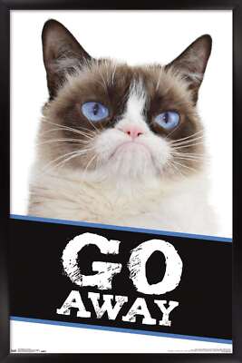 Grumpy Cat - Go Away 14x22 Poster