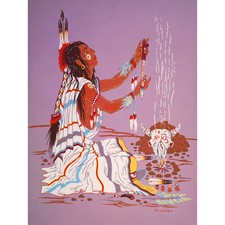 PAINTING DRAWING NATIVE AMERICAN INDIAN FIRE SHAMAN DRESS POSTER PRINT BB8140B