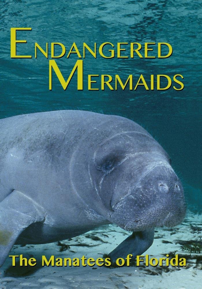 Endangered Mermaids: The Manatees of Florida (DVD) Jonathan Bird