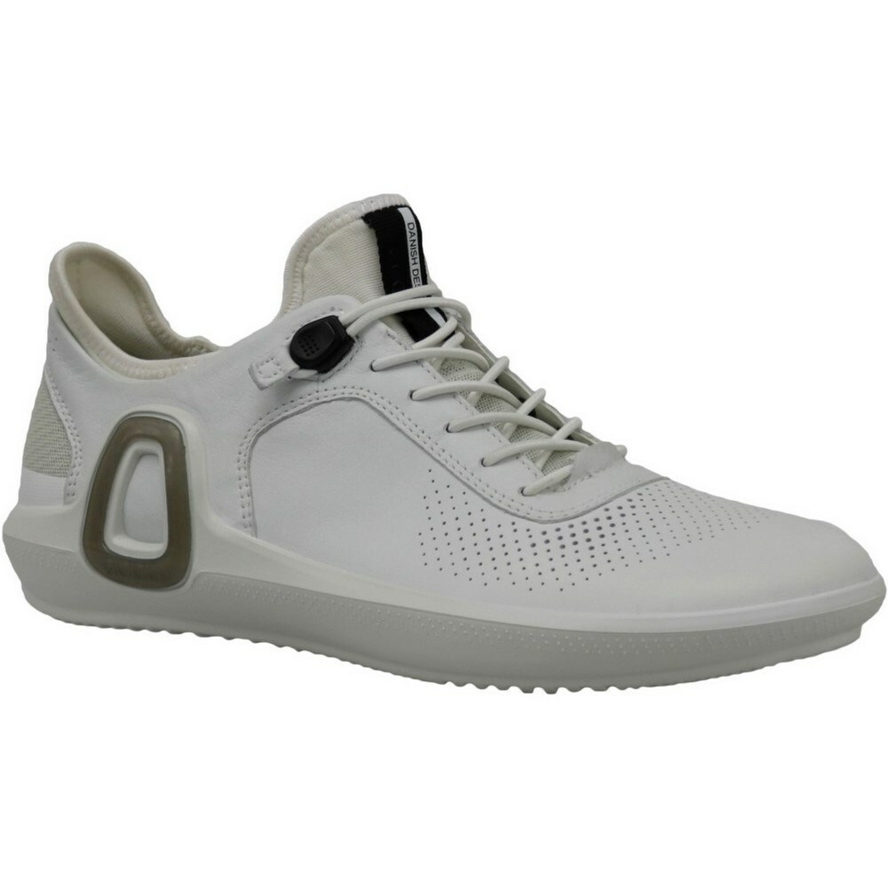 ecco intrinsic 3 2014