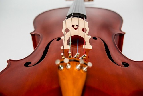 UK Cello 4/4 M-tunes No.150 wood - for learners - Picture 4 of 11