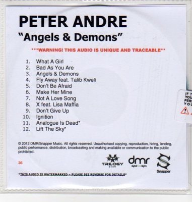 (DN197) Peter Andre, Angels & Demons - 2012 DJ CD