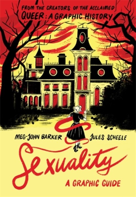 Sexuality A Graphic Guide by Meg-John Barker (Paperback Book)