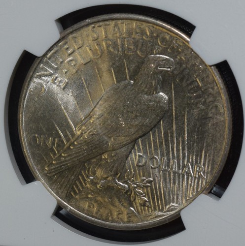 1925-P NGC MS63 $1 Silver Peace Dollar Lightly Toned - Picture 11 of 14