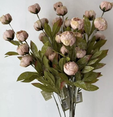 Viral Tan Peony Stem by Ashland 