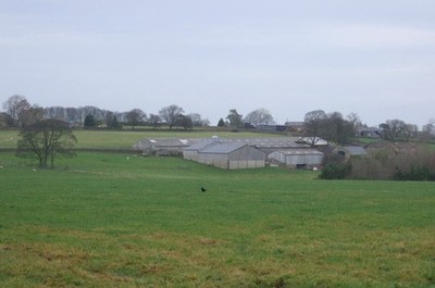 Foto 6x4 grasen in Richtung Cote Hill Kettlesing Bottom c2016