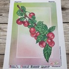 Bild 9 von 11