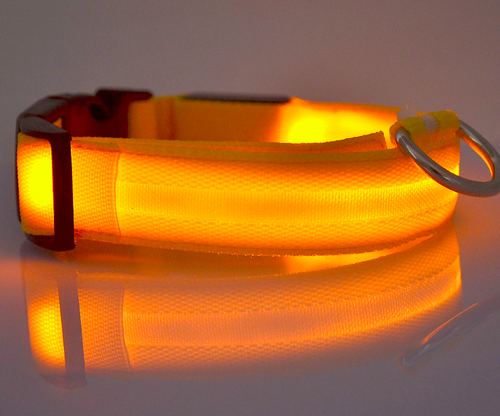LED Glow Collar Dog Puppy Pet Flashing Light Safety Glow In The Dark FAST POST - Picture 72 of 81