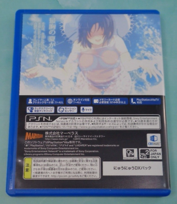 SGGAMINGINFO » Senran Kagura Shinovi Versus (PS Vita) Review