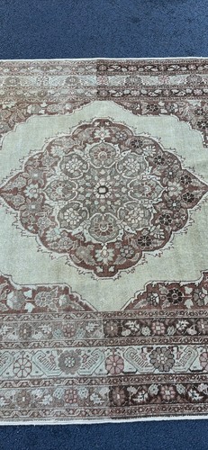 Antique Beige Area Rug - Picture 4 of 9