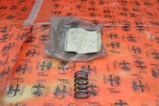 Valve Spring Alfa Romeo giulia 105 105120330