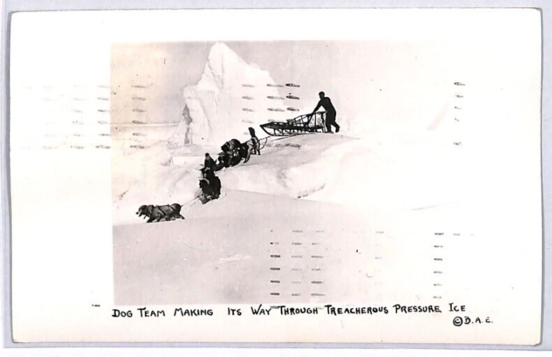 USA Polar BYRD ANTARCTIC EXPEDITION *Dog Team* RP Card 1934 Captain Signed PH3 - Image 3 of 4