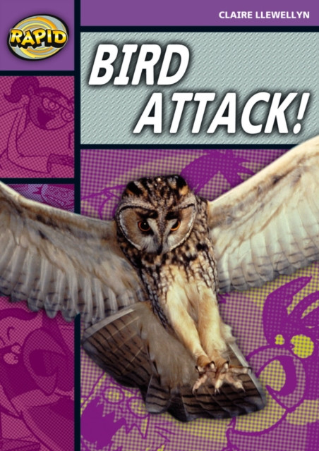 Rapid Reading: Bird Attack! (Stage 1, Level B) by Claire Llewellyn