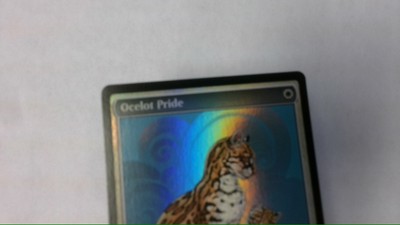 mtg ocelot pride store championship | eBay
