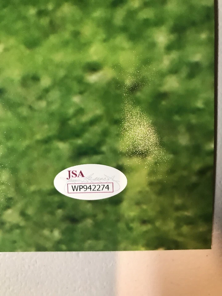 Jay Ajayi Autograph Signed Eagles Super Bowl LII 16x20 Photo JSA - Image 3 of 4